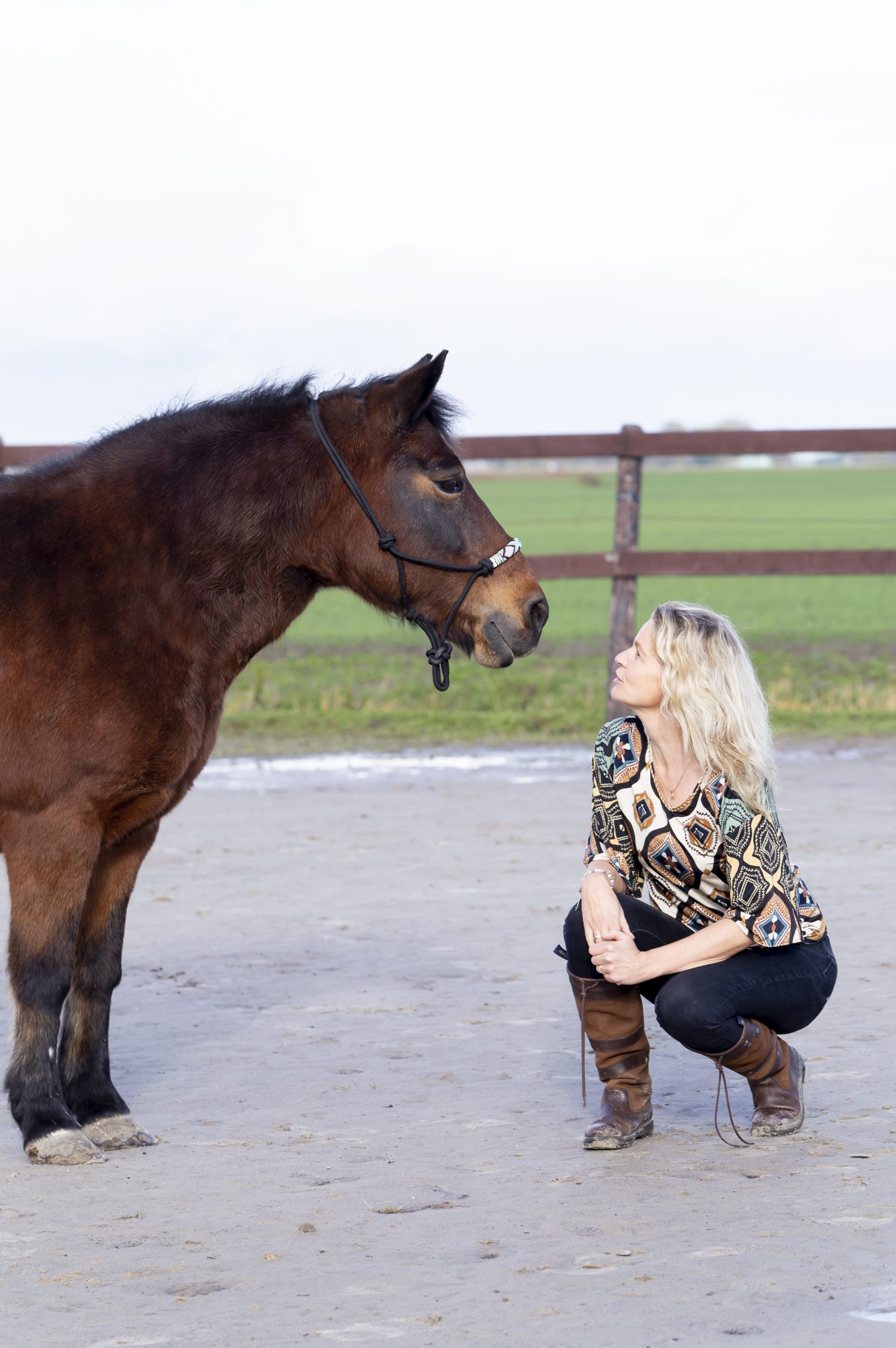 Paardencoaching